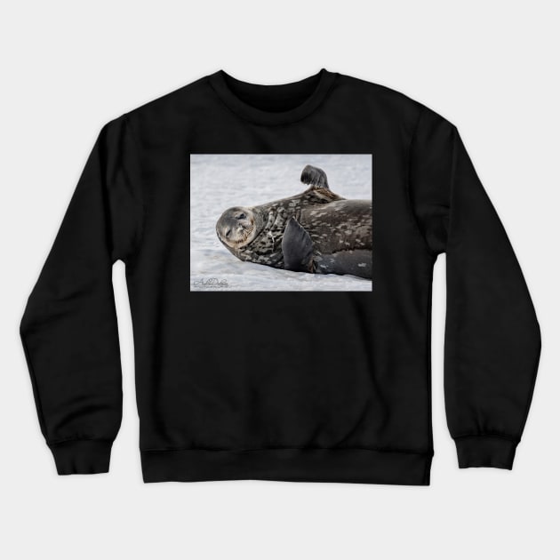 Seal Crewneck Sweatshirt by lordveritas